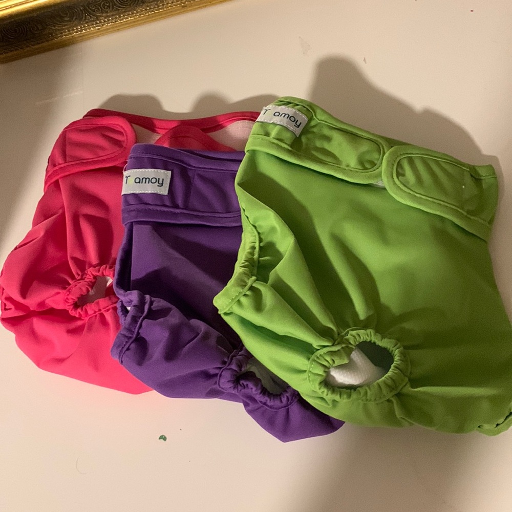 Dog diapers